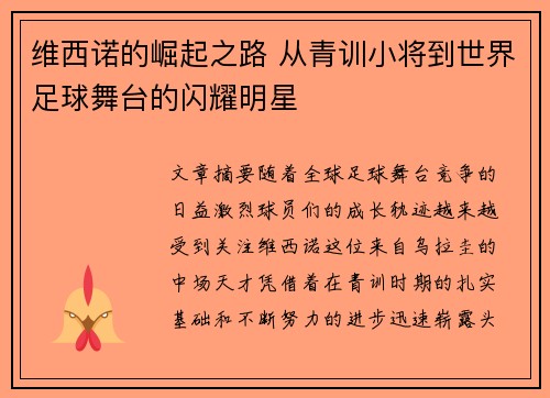 维西诺的崛起之路 从青训小将到世界足球舞台的闪耀明星
