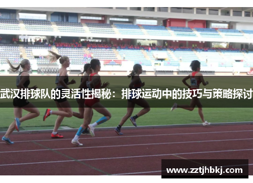 武汉排球队的灵活性揭秘：排球运动中的技巧与策略探讨